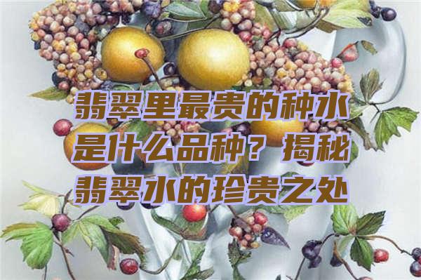 翡翠里最贵的种水是什么品种？揭秘翡翠水的珍贵之处