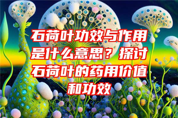 石荷叶功效与作用是什么意思？探讨石荷叶的药用价值和功效