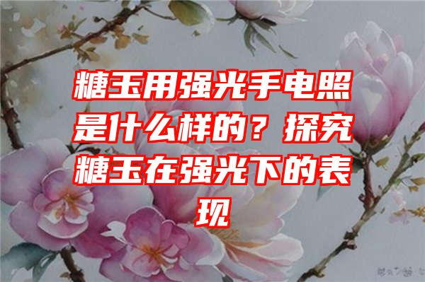 糖玉用强光手电照是什么样的？探究糖玉在强光下的表现