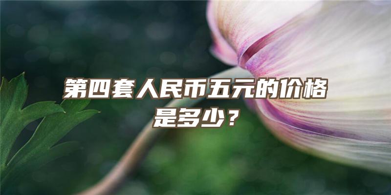 第四套人民币五元的价格是多少？