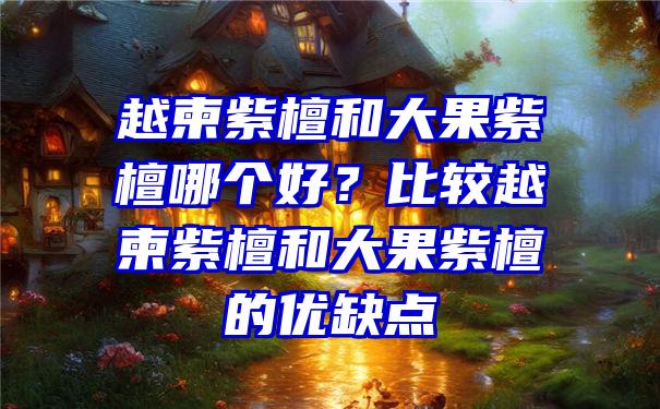 越柬紫檀和大果紫檀哪个好？比较越柬紫檀和大果紫檀的优缺点