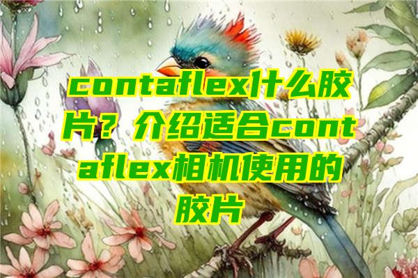 contaflex什么胶片？介绍适合contaflex相机使用的胶片