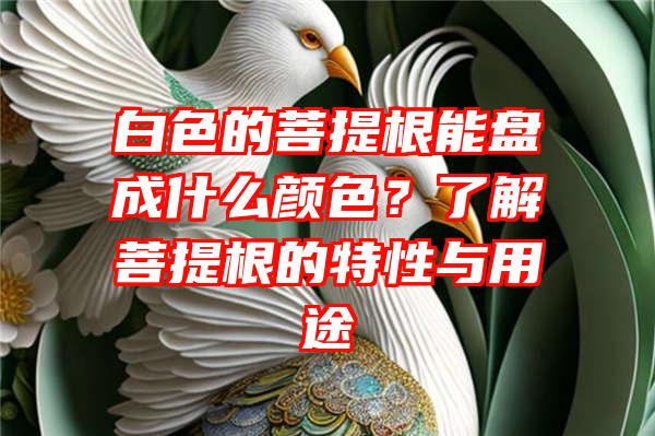 白色的菩提根能盘成什么颜色？了解菩提根的特性与用途