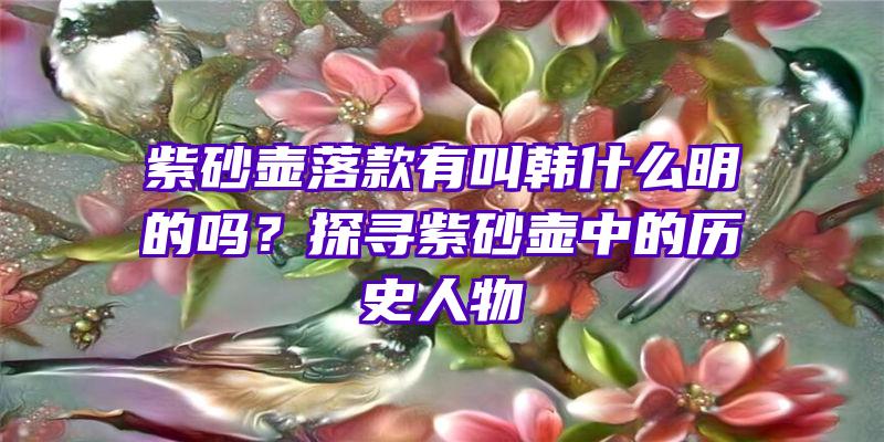 紫砂壶落款有叫韩什么明的吗？探寻紫砂壶中的历史人物