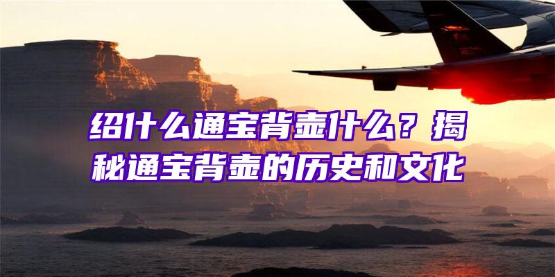 绍什么通宝背壶什么？揭秘通宝背壶的历史和文化