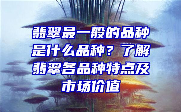 翡翠最一般的品种是什么品种？了解翡翠各品种特点及市场价值