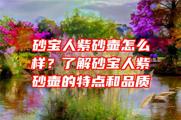 砂宝人紫砂壶怎么样？了解砂宝人紫砂壶的特点和品质