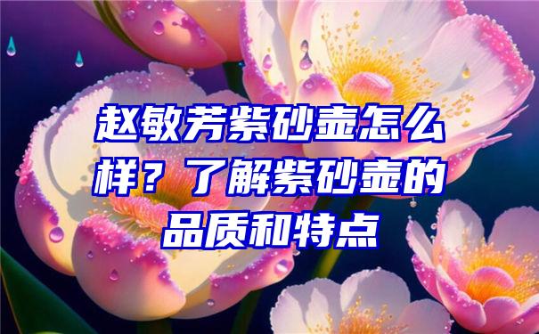 赵敏芳紫砂壶怎么样？了解紫砂壶的品质和特点