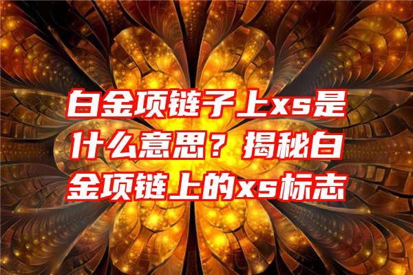 白金项链子上xs是什么意思？揭秘白金项链上的xs标志