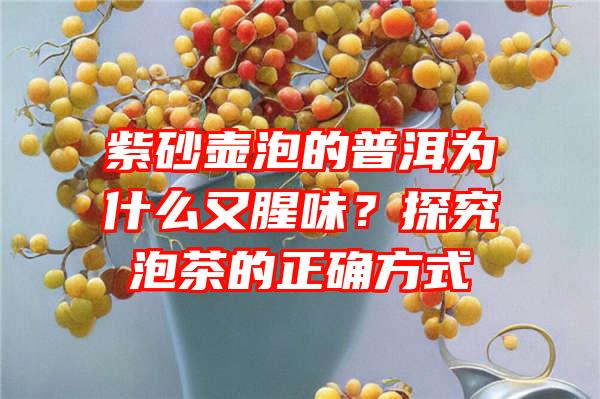 紫砂壶泡的普洱为什么又腥味？探究泡茶的正确方式