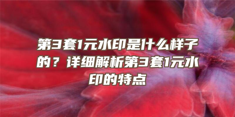 第3套1元水印是什么样子的？详细解析第3套1元水印的特点