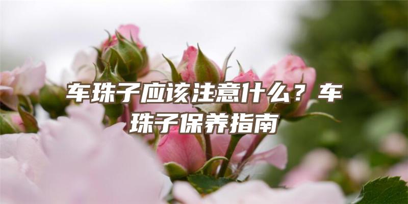 车珠子应该注意什么？车珠子保养指南