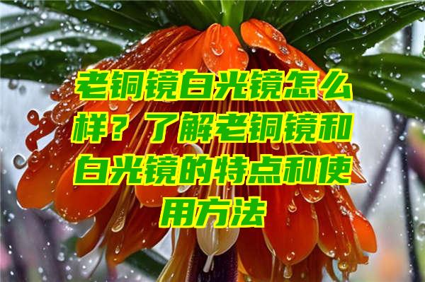 老铜镜白光镜怎么样？了解老铜镜和白光镜的特点和使用方法