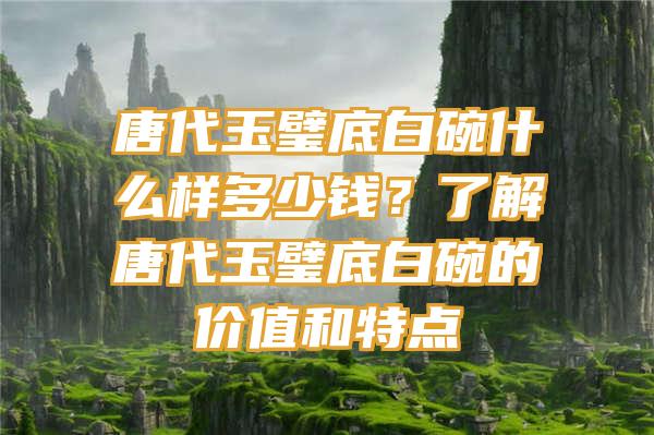 唐代玉璧底白碗什么样多少钱？了解唐代玉璧底白碗的价值和特点