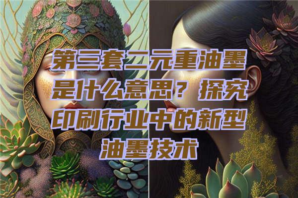 第三套二元重油墨是什么意思？探究印刷行业中的新型油墨技术