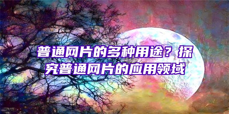 普通网片的多种用途？探究普通网片的应用领域