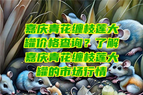 嘉庆青花缠枝莲大罐价格查询？了解嘉庆青花缠枝莲大罐的市场行情