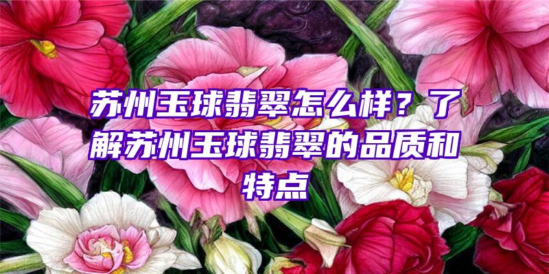 苏州玉球翡翠怎么样？了解苏州玉球翡翠的品质和特点