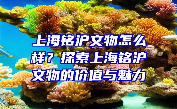 上海铭沪文物怎么样？探索上海铭沪文物的价值与魅力