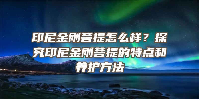 印尼金刚菩提怎么样？探究印尼金刚菩提的特点和养护方法