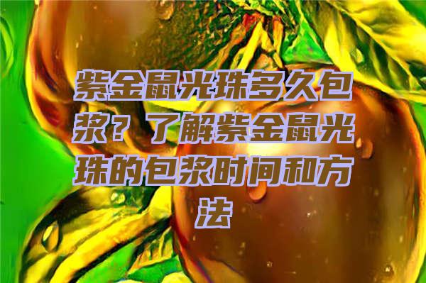 紫金鼠光珠多久包浆？了解紫金鼠光珠的包浆时间和方法