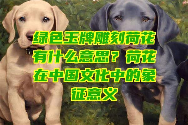 绿色玉牌雕刻荷花有什么意思？荷花在中国文化中的象征意义