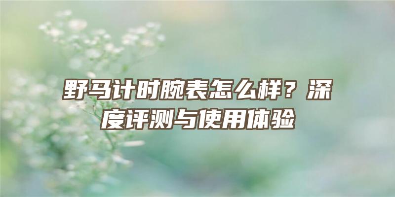 野马计时腕表怎么样？深度评测与使用体验