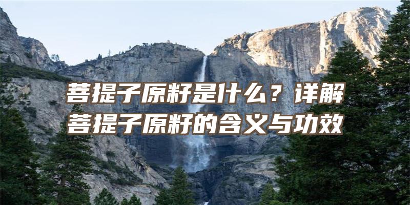 菩提子原籽是什么？详解菩提子原籽的含义与功效