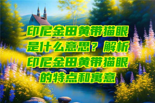 印尼金田黄带猫眼是什么意思？解析印尼金田黄带猫眼的特点和寓意