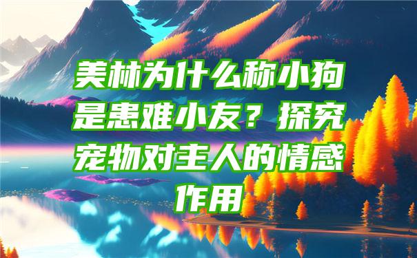 美林为什么称小狗是患难小友？探究宠物对主人的情感作用