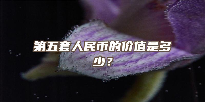 第五套人民币的价值是多少？