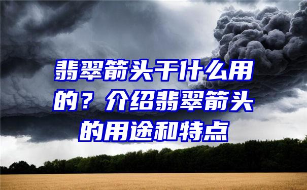 翡翠箭头干什么用的？介绍翡翠箭头的用途和特点