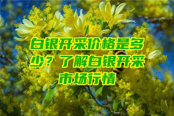 白银开采价格是多少？了解白银开采市场行情