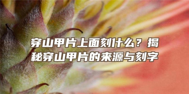 穿山甲片上面刻什么？揭秘穿山甲片的来源与刻字