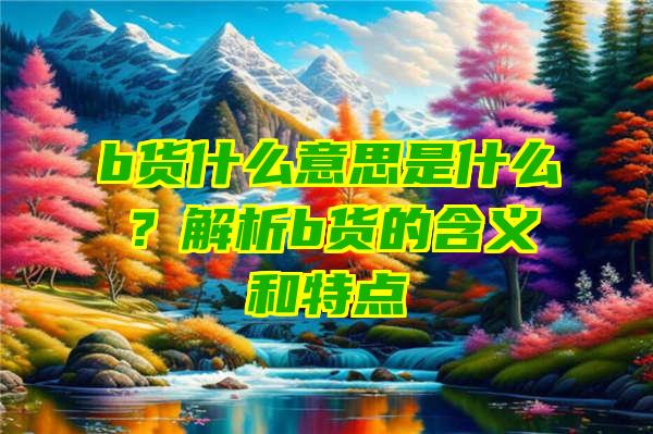 b货什么意思是什么？解析b货的含义和特点