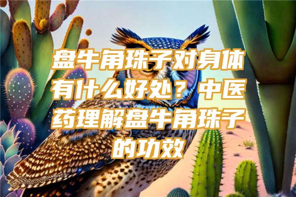 盘牛角珠子对身体有什么好处？中医药理解盘牛角珠子的功效