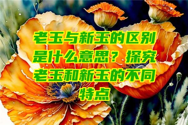 老玉与新玉的区别是什么意思？探究老玉和新玉的不同特点