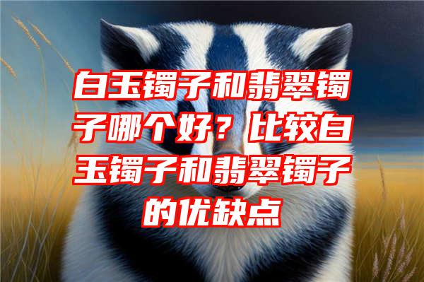 白玉镯子和翡翠镯子哪个好？比较白玉镯子和翡翠镯子的优缺点