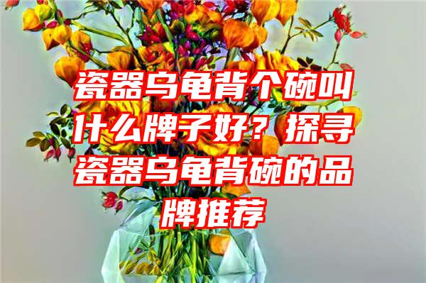 瓷器乌龟背个碗叫什么牌子好？探寻瓷器乌龟背碗的品牌推荐