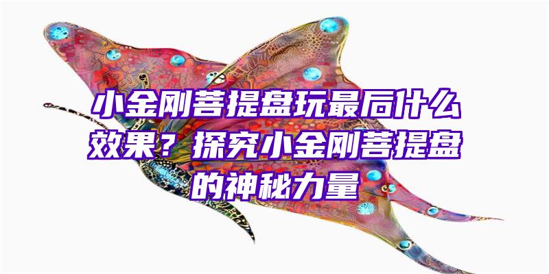 小金刚菩提盘玩最后什么效果？探究小金刚菩提盘的神秘力量