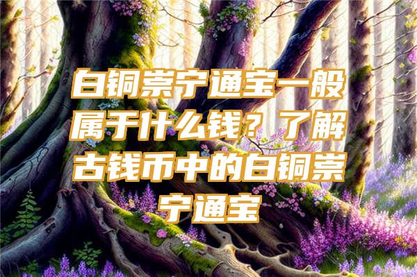 白铜崇宁通宝一般属于什么钱？了解古钱币中的白铜崇宁通宝