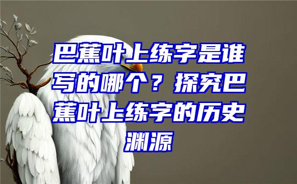 巴蕉叶上练字是谁写的哪个？探究巴蕉叶上练字的历史渊源