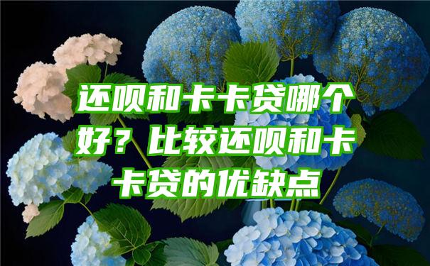 还呗和卡卡贷哪个好？比较还呗和卡卡贷的优缺点