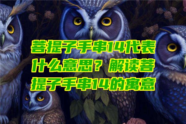 菩提子手串14代表什么意思？解读菩提子手串14的寓意