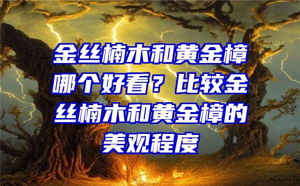 金丝楠木和黄金樟哪个好看？比较金丝楠木和黄金樟的美观程度