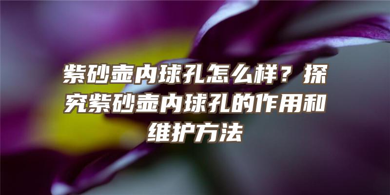 紫砂壶内球孔怎么样？探究紫砂壶内球孔的作用和维护方法