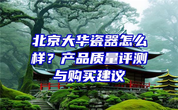 北京大华瓷器怎么样？产品质量评测与购买建议