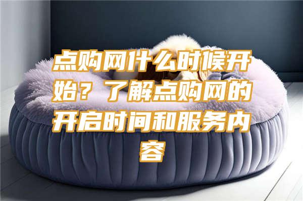 点购网什么时候开始？了解点购网的开启时间和服务内容