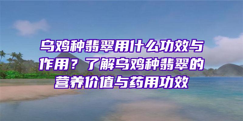 乌鸡种翡翠用什么功效与作用？了解乌鸡种翡翠的营养价值与药用功效