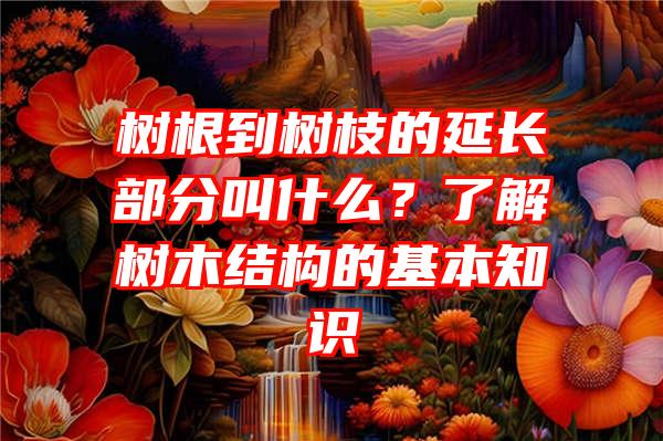 树根到树枝的延长部分叫什么？了解树木结构的基本知识